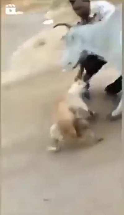 Будешь знать, как обижать маленьких