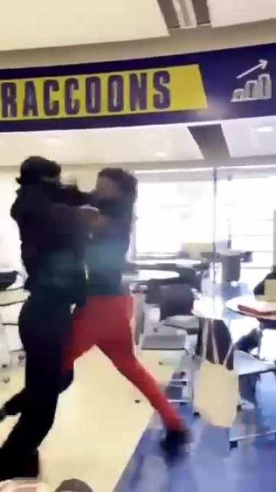 fight at my school