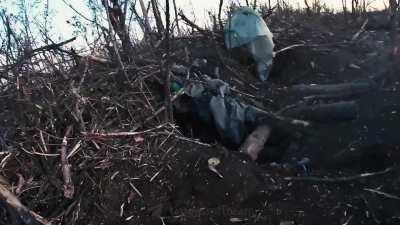 Ukrainian soldiers of the SIGNUM unit assaulting a Russian trench positions in the Bakhmut direction. One of the soldiers gets hit at 1:38.