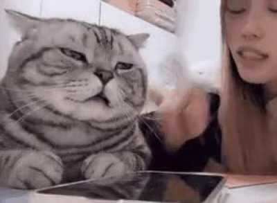 how it feels to read the 500th 