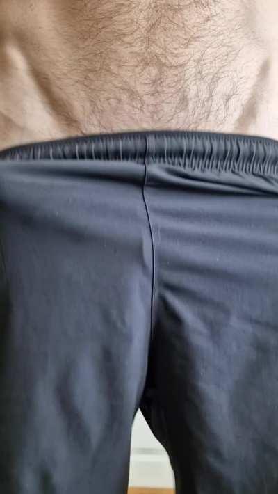 Anyone here a fan of gy[m] shorts?