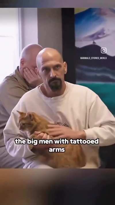 They should do this program in every prison. Allowing prison inmates to adopt kittens