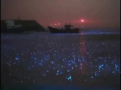 What rain on a bioluminescent sea looks like.