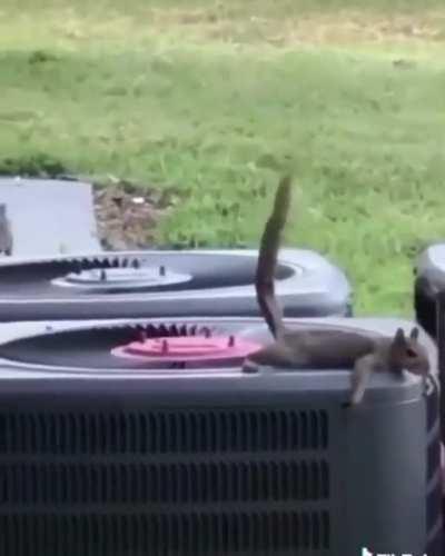 BeelcitosMemes - Video #2749