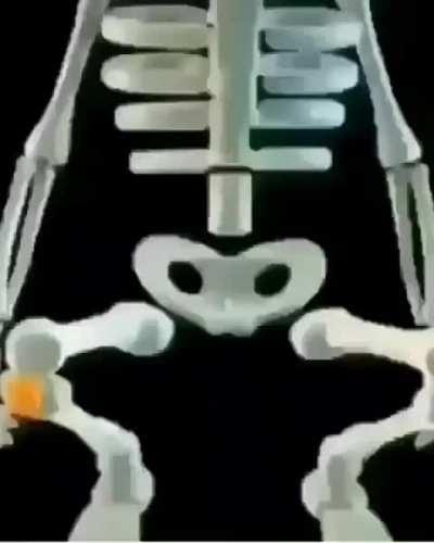 Confirmo yo estudié anatomía.