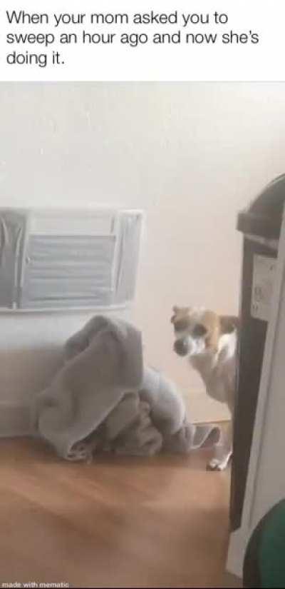 He knows he fucked up