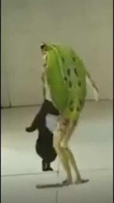 Ah mano kkkk, tá ligado naquele sapo que eu gravei antes ? Kklkk, o meu dog comeu o sapo lllkkllklk, mano kkkl 😂😂😂🤣🤣😂😢😢😭😭😭