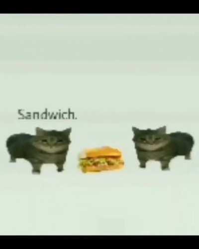 Sandwichkus