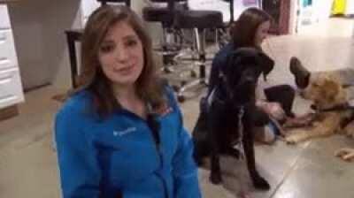 a good boy never forgets