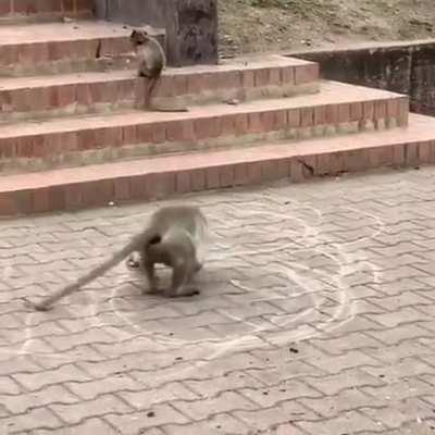 Me when I’m drunk using home teleport