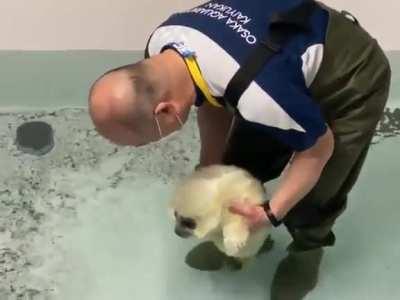 Look at this silly little goofball