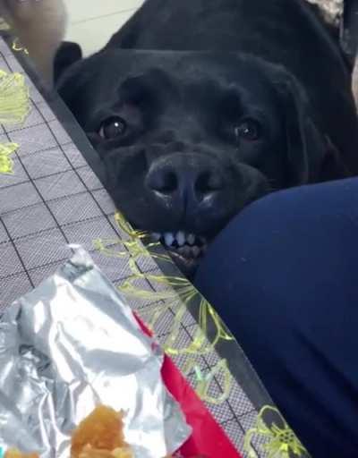 Every bite you take, I’ll be watching you 👀