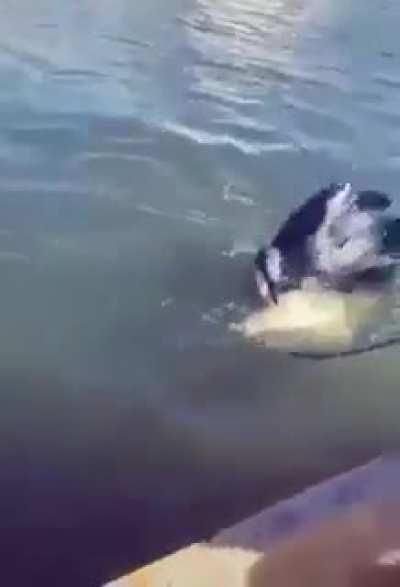 this is when Tax explained in 10 seconds..