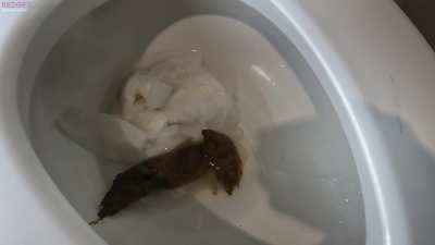 (F) HOT NEW SCAT VID JUST DROPPED! Titled: "Will Classy n Gassy cause a clog?" here is a free sample clip from our latest and greatest doubles pooping video! what do you think? will we need a plunger for our double decker poop??