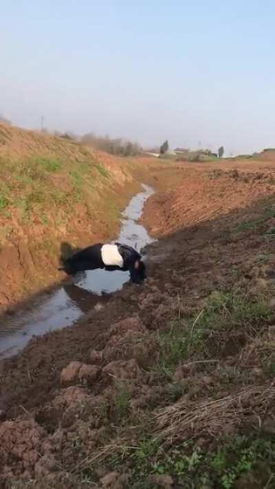 Jump across the stream