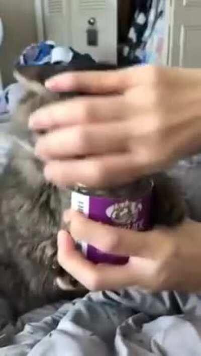 Sempre q eu lembro da história do lobinho com a pêra eu penso algo mais ou menos assim