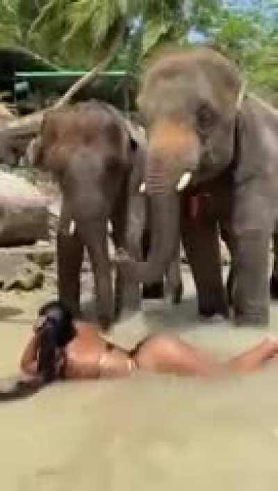 Que rompa tan juguetona