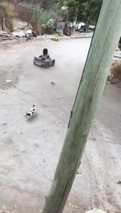 Такая маленькая, а уже 