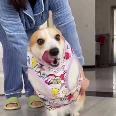 If you need a smile...😉