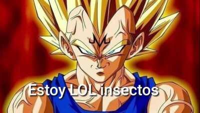 Estoy LOL insectos