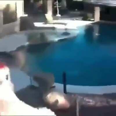 Bruv, put a proper donk on it bruv. This is that UK hardstyle techno