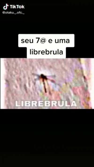 Librebrula