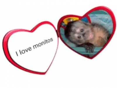 Jajaja un mono me dan mi 1k de upvotes?