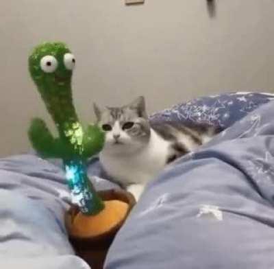 I like to move it move it