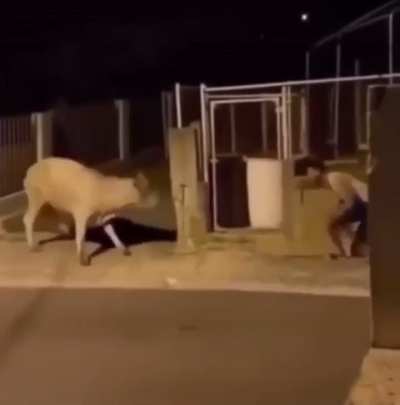 Man tries to prank a friend