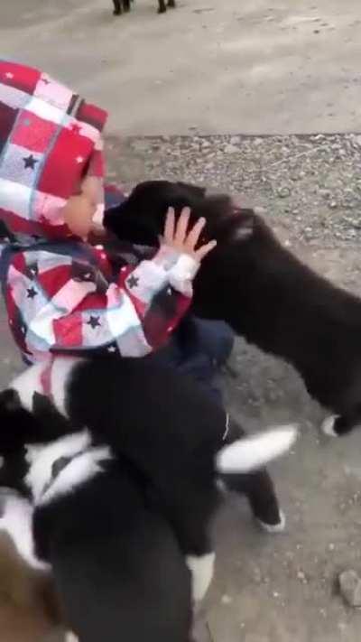 you can seen pure love