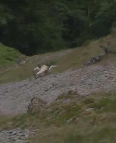 ALIVE - Mountain Biking Gone Way Wrong