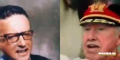 al pinocho le gusta shakira?? Poggers