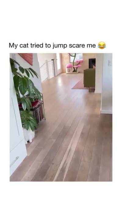 paulanobre - Video #4762