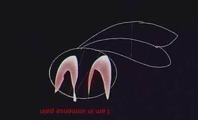 ︀︀︀︀︀︀︀︀︀︀s︎n︎ǝǝs︎n︎o︎ʎo︎p︎