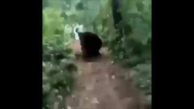 This trailer was only up for around 20 minutes on the Dead by Daylight youtube channel before it was taken down, luckily I saved it before it got deleted. Accidental killer leak?