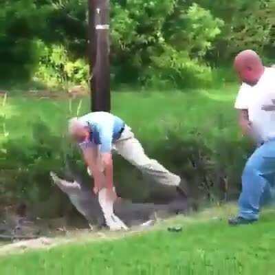 Dominate a crocodile