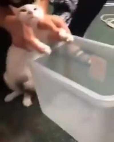 you did it! you better clean it.!