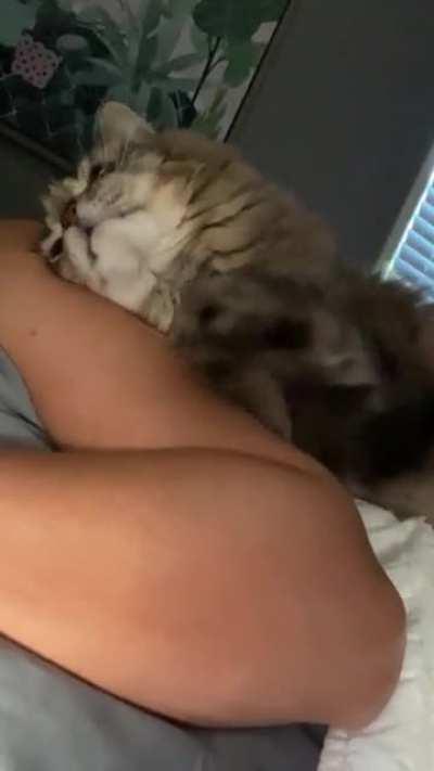 Olive has never missed breakfast