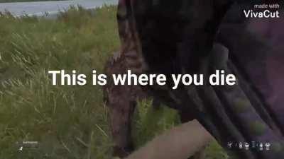 POW right in the kisser