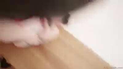 r/Fluffersgonewild Lounge