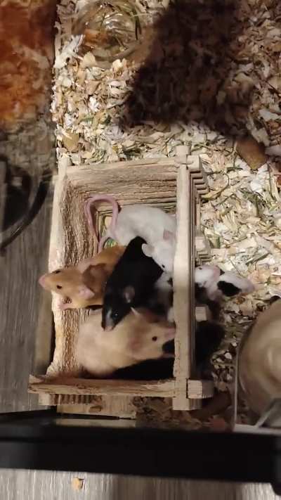 Bonding process is going suspiciously well....