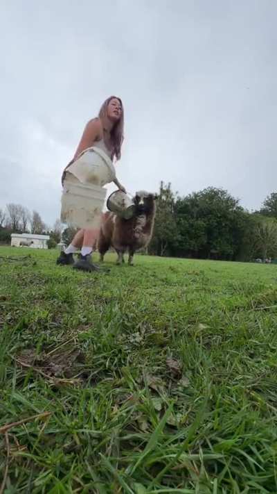 Kevin chose violence.