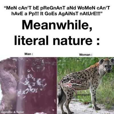 “Are you sure about that?”