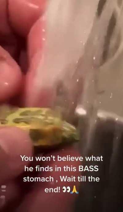 Somehow this little guy survived