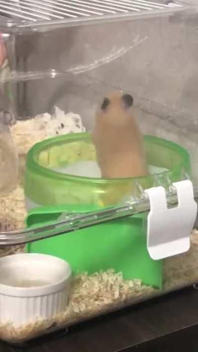 They were everywhere, man...