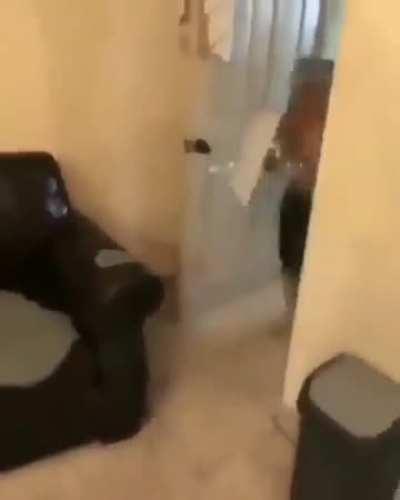 why did this server suddenly become active, please go back to posting 1 mid meme every 18 hours again