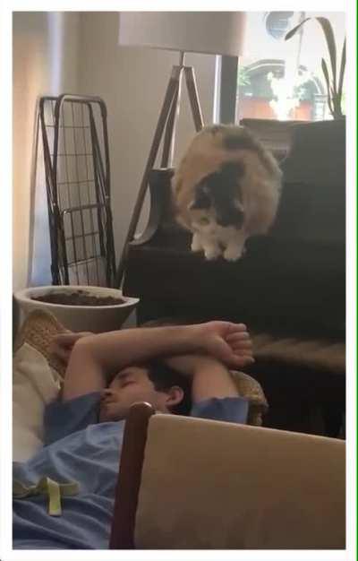 having a good nap, i see