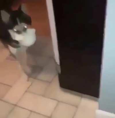 blursed_nice and gently