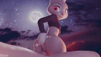 Bouncy Bunny! [MF] (Rekin3D)