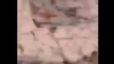 Dava para um filme (ninguém teve grave ferimentos)